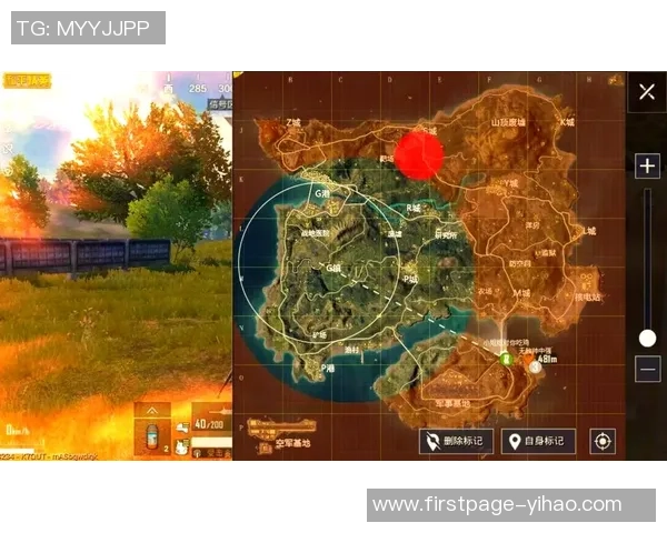 和平精英新手必看攻略：轻松入门的全面配合技巧与策略分享